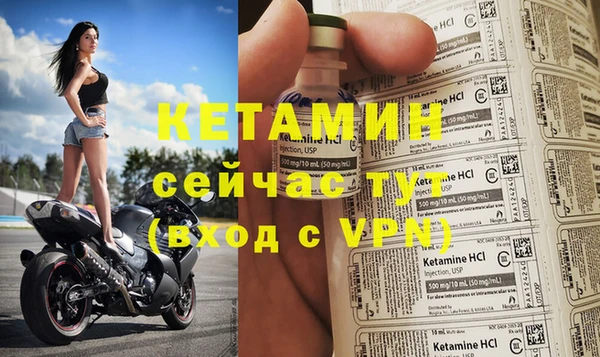 спиды Бердск